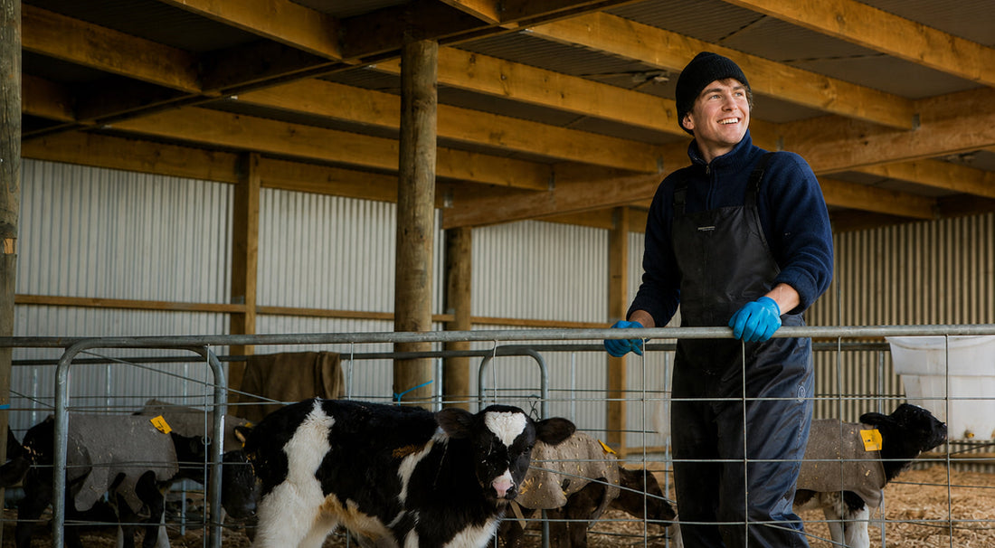 Farm gates prove popular for flexible calf pens